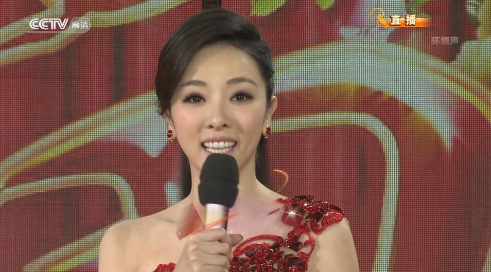 2013中央电视台CCTV春节联欢晚会2