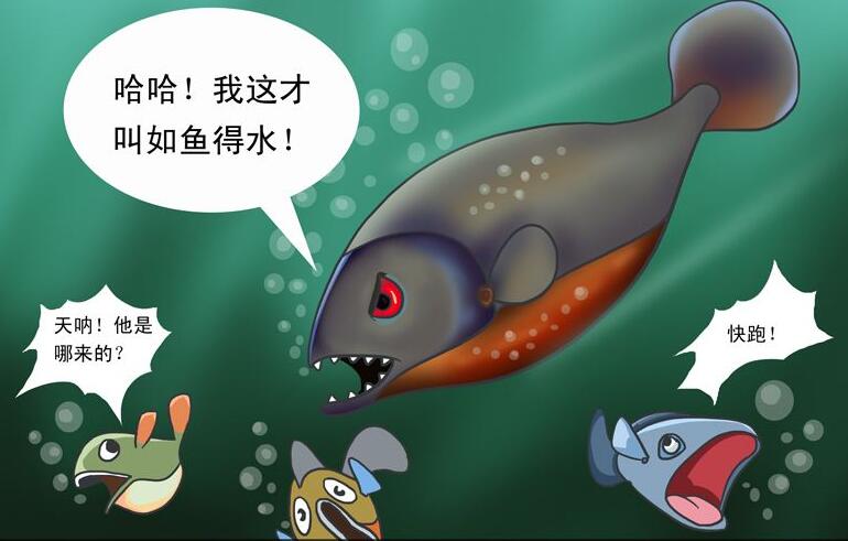 入侵物种