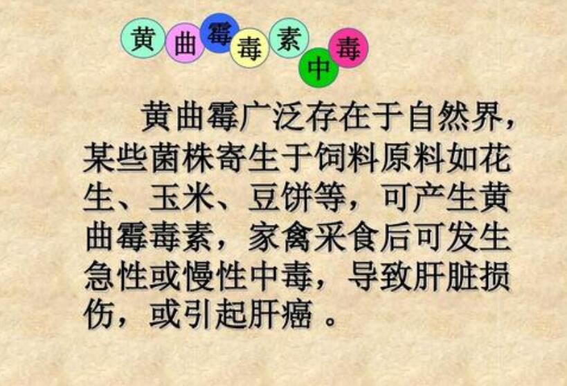 黄曲霉毒素
